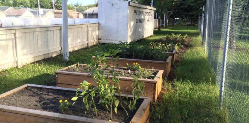Growth is in the future for community gardens