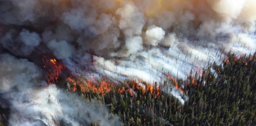 The urgency of wildfires and climate change