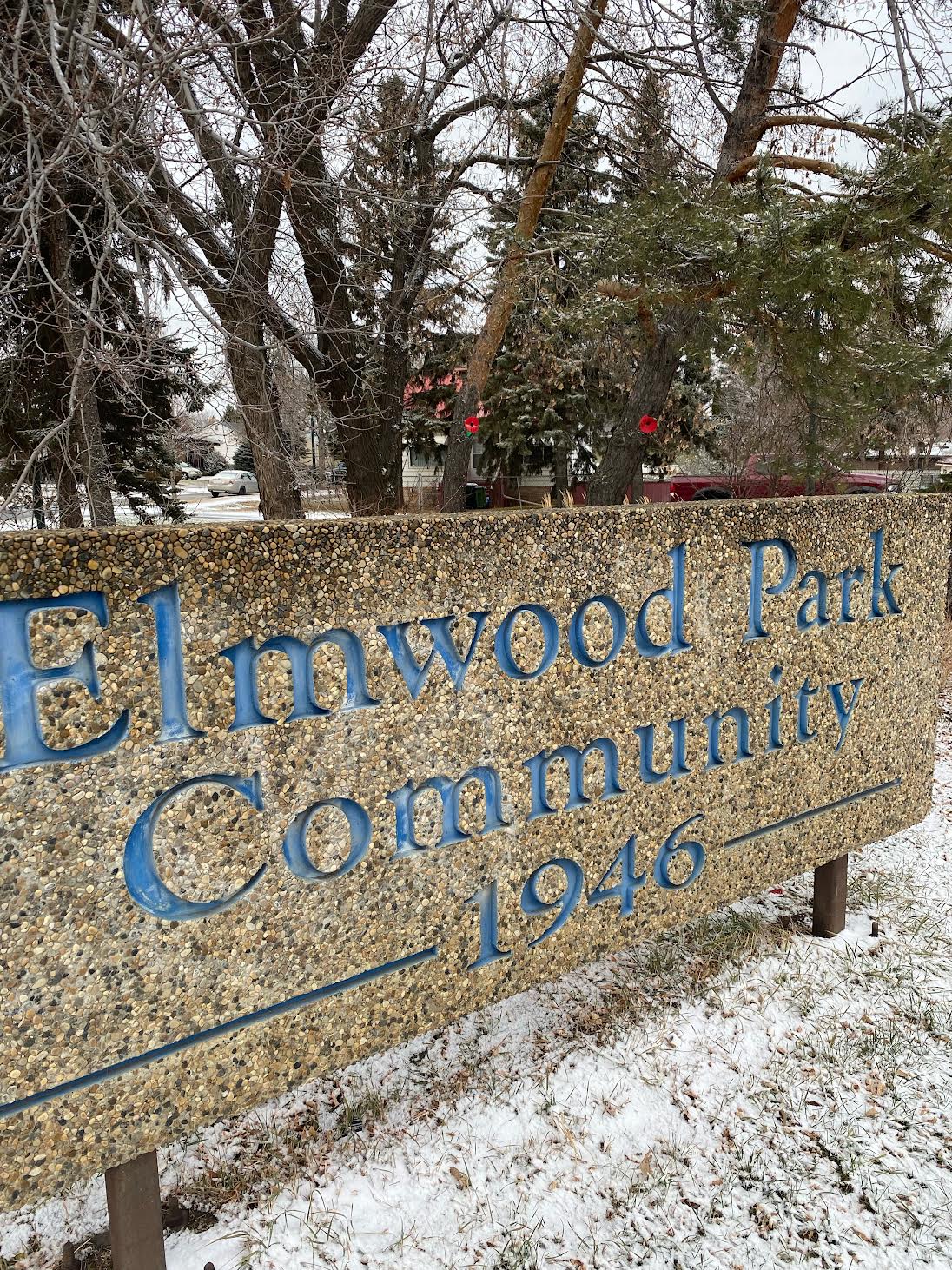 Elmwood Park commemorates veterans
